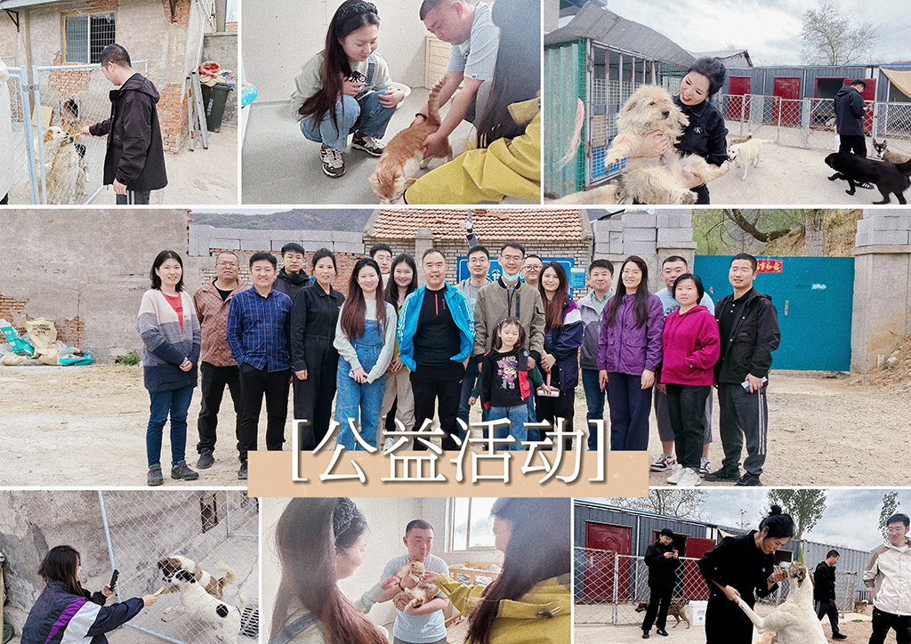 北京盛典博覽公司展現(xiàn)企業(yè)社會責任，探訪流浪狗基地并舉辦爬山團建
